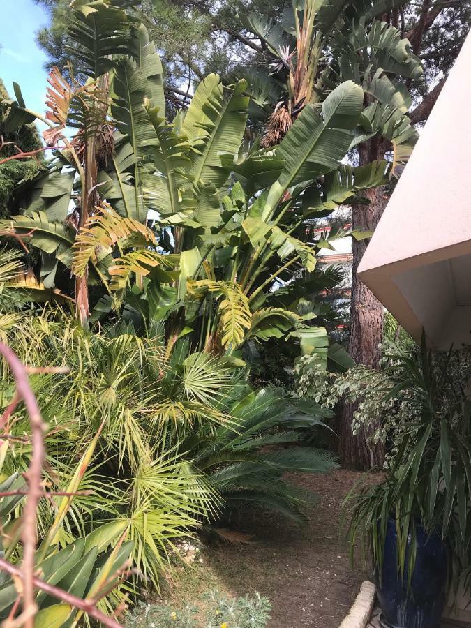 19 Rue Du Parc Alexandre III Daire Cannes Dış mekan fotoğraf