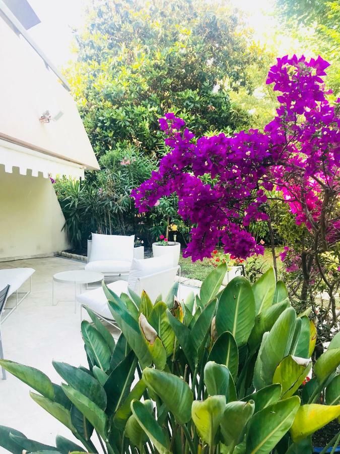 19 Rue Du Parc Alexandre III Daire Cannes Dış mekan fotoğraf